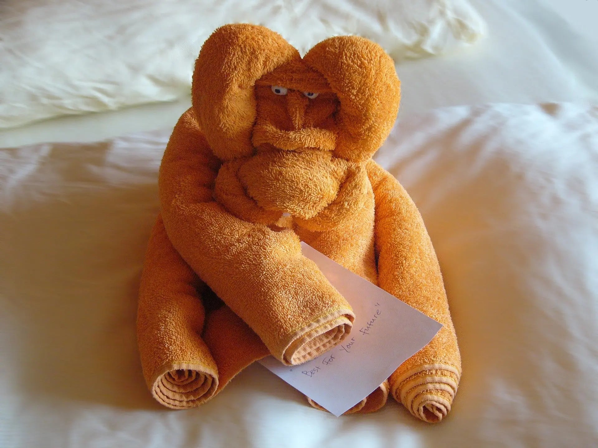 Towels Monkey.