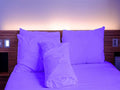 Extra Deep 16" Percale Fitted Sheets Single Double King (King, Purple)