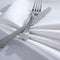 100% Cotton White Satin Band Napkins - A & B Traders